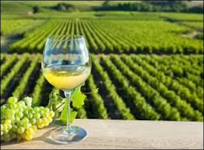 Quelle est la capitale du vignoble nantais ?