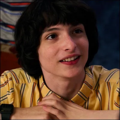 Qui joue Mike Wheeler ?