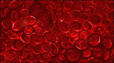 Quelle couleur est la plus proche du bouton "Voir les résultats" ?