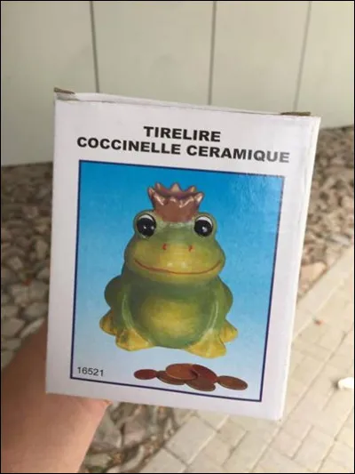 Mais dites-moi, cette coccinelle ressemble beaucoup à...