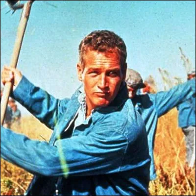 Dans quel film Paul Newman joue-t-il ce héros ?