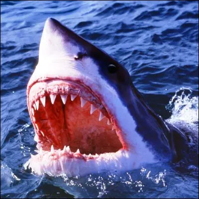 Dans quel film Bruce joue-t-il ce vilain ?