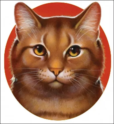 Pourquoi Étoile de Feu a-t-il nommé l'un de ses chatons Nuage de Feuille ?