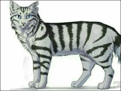 Qui sont les parents de Plume Grise ?