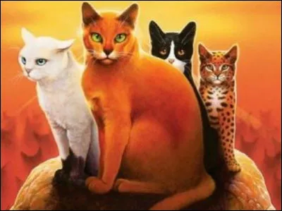 Quels sont les noms de guerriers d'Étoile Bleue, Étoile Filante, Étoile Balafrée et Étoile Brisée ? (Première partie)