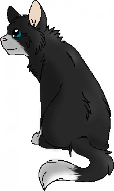 Quel est le nom de chaton de Fléau ?