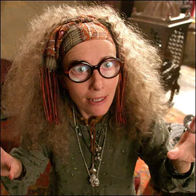 (Trelawney) : "Je disais que Saturne occupait certainement une place dominante dans le ciel au moment de votre naissance... Vos cheveux noirs... Votre taille moyenne... Une perte tragique à un âge si jeune... Je ne pense pas me tromper mon chéri, en affirmant que vous êtes né en plein hiver ?" 

En vrai, quand est né Harry Potter ?