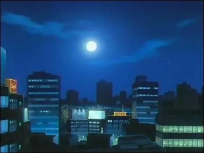 Quel est le nom de la ville o vit la famille de Ichigo ?