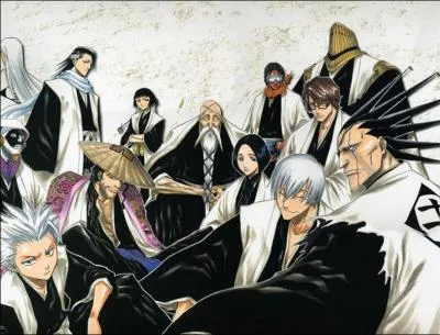 Les 13 capitaines de la Soul Society ont tous un bankai ?