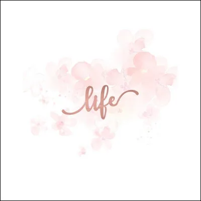 Quels mots préfères-tu ?