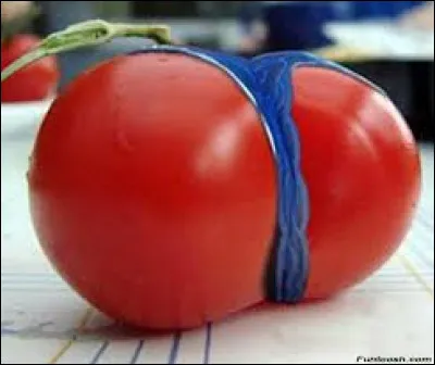 Cul comme cul de poule : c'est un ustensile de cuisine, mais encore...