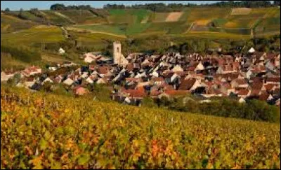 &Agrave; Irancy, dans l'Yonne, ils sont nombreux. De qui s'agit-il ?