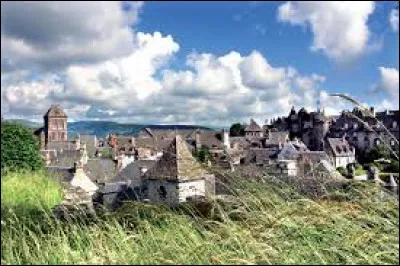 Salers est un charmant village du Cantal, mais c'est aussi le nom d'une race ...