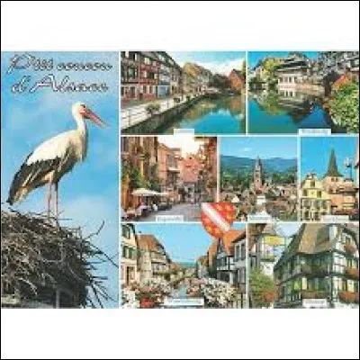 Laquelle de ces communes alsaciennes ne porte pas le label "Plus Beaux Villages de France" ?