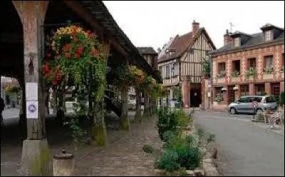 Quelle construction fait la renomm&eacute;e de Lyons-la-For&ecirc;t, dans l'Eure ?