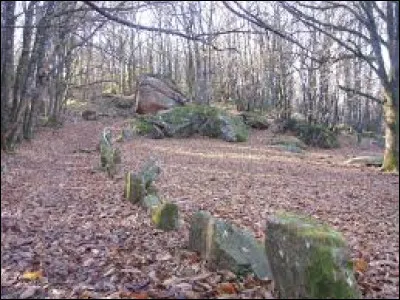 Comment appelle-t-on ce site mégalithique ?