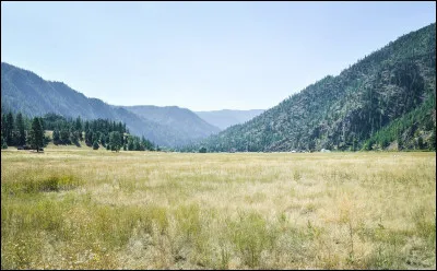 Tu préfères aller :