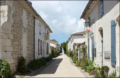 Heureusement, Talmont sait prendre d'autres poissons dans ses filets : vers 1835, la pêche au ... est florissante et certains spécimens atteignent les ... kg !