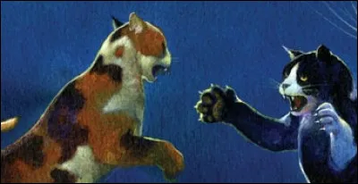 Arrivés au camp, le Clan de l'Ombre et le Clan du Tonnerre livrent bataille ! Un chat prend les chatons dans la pouponnière et tue Petite Feuille, qui est-ce ?