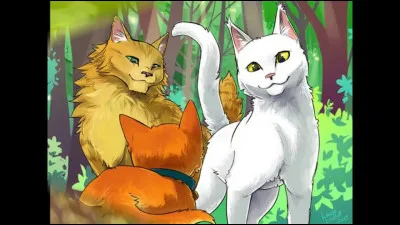 Après avoir délivré les chatons avec l'aide de Croc Jaune et d'autres chats du clan, Nuage de Feu et Nuage Gris reçoivent leurs noms de guerriers et leurs noms sont...