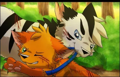 Arrivé au camp du tonnerre, il attaque une chat, qui est-ce ?