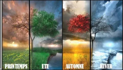 Quelle saison préfères-tu ?