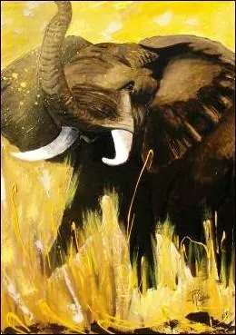 Dans un roman de Ren Guillot, qui est le  Prince des lphants ?