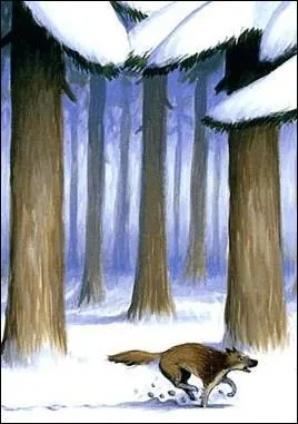 Qui est le chien de traneau de L'Appel de la fort de Jack London ?