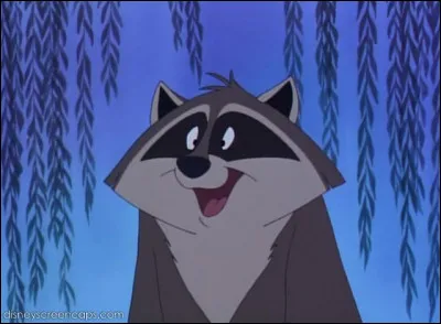 Dans quel dessin animé pouvons-nous voir Meeko ?