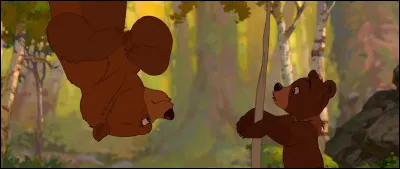 Dans "Frères des Ours", où Kinai et Koda veulent-ils se rendre ensemble ?