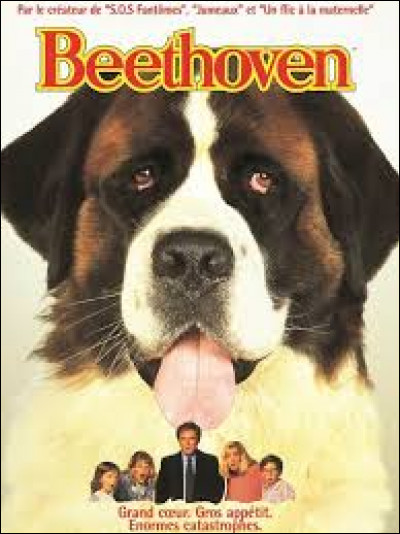 Quelle est la race du célèbre chien de cinéma Beethoven ?