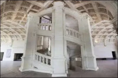 Dans quel château trouve-t-on cet escalier à double révolution ?