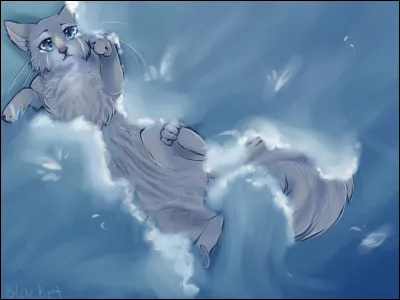 Qui est Petit Nuage ?