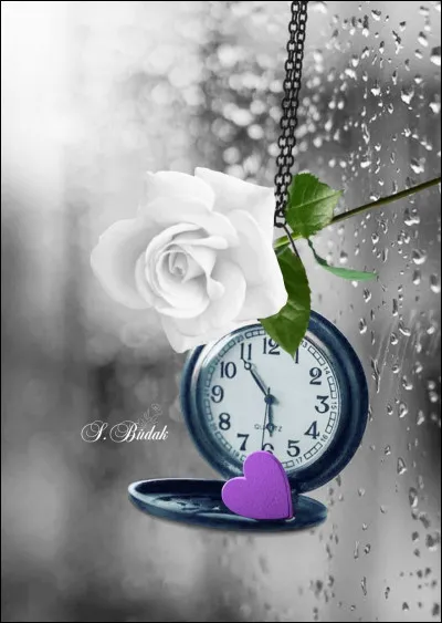 Qui chantait "Avec le temps, va tout s'en va" ?