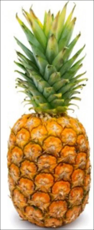 Il y a 40 grammes de sucre dans l'ananas.