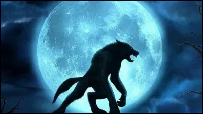 Son gendre est un loup-garou, c'est :