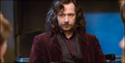 Quelle relation as-tu avec ton cousin Sirius Black ?