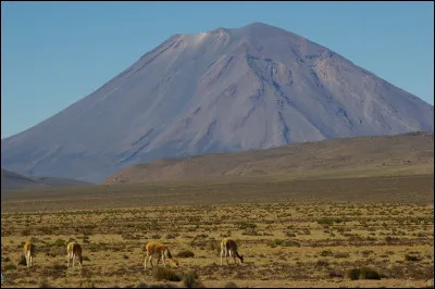 Quand on ne marche pas dessus, c'est une note de musique.