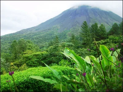 Cette monnaie doit son nom au navigateur qui découvrit le pays qui l'utilise aujourd'hui.