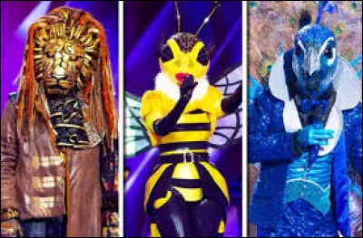 Qui a présenté la première édition de l'émission "Mask Singer" ?