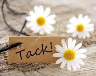 Si un Suédois vous dit "Tack", c'est qu'il vous...