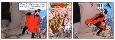 On le sait, Haddock a toujours le chic pour mettre les pieds dans le plat : qu'a-t-il fait comme rencontre, cette fois-ci ?