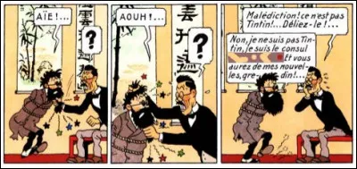 Tintin a bien roulé ses adversaires, lesquels ne sont pas toujours très finauds. De quel pays est le consul qu'ils ont enlevé par erreur ?