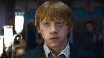 À qui appartenait sa première baguette (celle qui s'est cassé dans le 2) ?