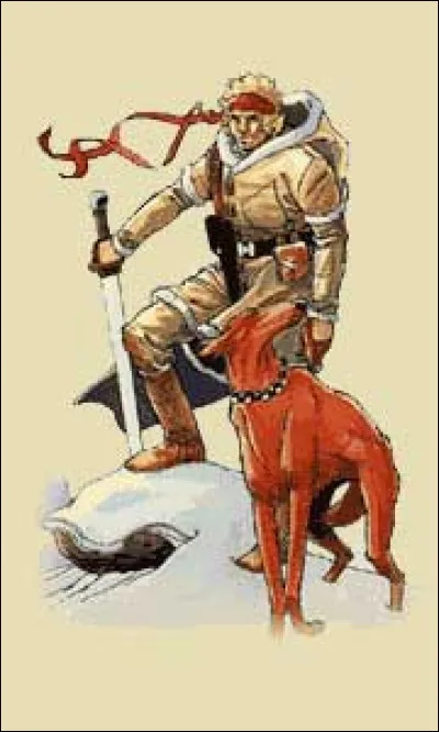 La bande dessinée « Neige » peut-être considérée comme :