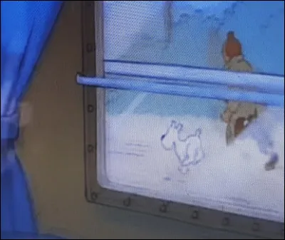 Comment Tintin réussit-il à se libérer  ?