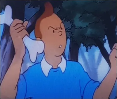 Lorsque Tintin lance pour la troisième fois l'os, que se passe-t-il ?