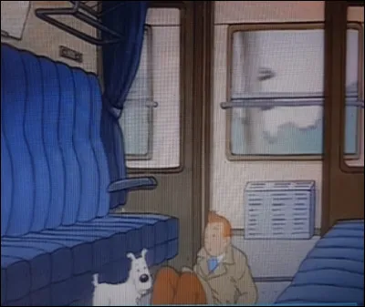 Pourquoi le train s'est-il arrêté ?