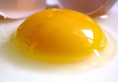 Pour cette dernière question, un petit vrai-faux : 
On peut trouver des « maxi-ufs » contenant deux jaunes.