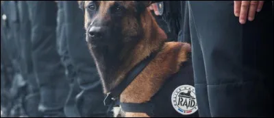 A fait disparaître la vapeur, c'est le...